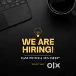 English Blog Writer & SEO Expert