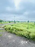 Residential plot