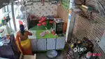 To work in TVanamm