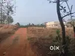 ഹൗസ് പ്ലോട്ടുകൾ വിൽപ്പനയ്ക്ക്  പറളി പാലക്കാട്‌