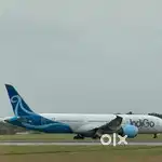 Cabin Crew/Airport Ground Staff Jobs In IndiGo Airlines Apply Fast