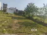 Land and plot