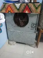 Cooler medium size