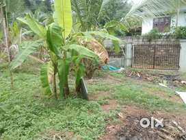 16 cent land with1400 sqft 3 bedroom house near Athirampuzha church