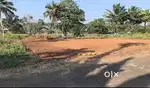 Thiruvalla land sale 15 cent at Rs 1.90 Lakhs/Cent at Pulllad, Kerala.