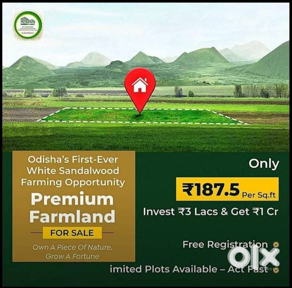 sandal wood farming project in Bhubaneswar Odisha