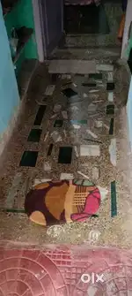 Urgently needed only 1 girl roommate