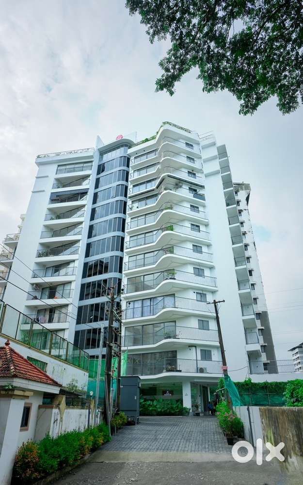 Fully Furnished 2 Bhk In Panampally Nagar