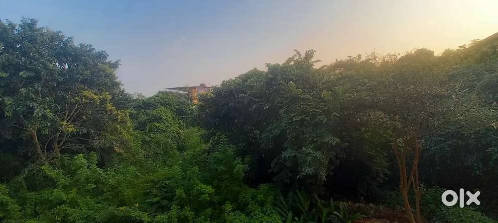 PLOT FOR SALE IN PORVORIM NEAR GAUTAM HOTEL