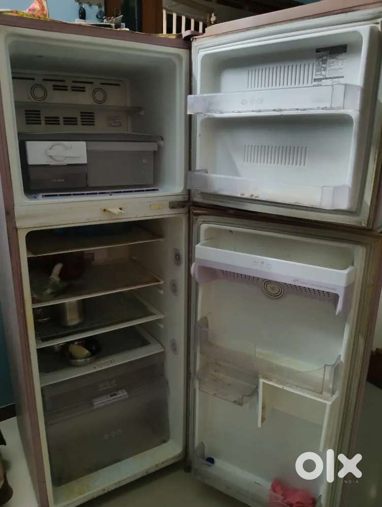 Spelling refrigerator