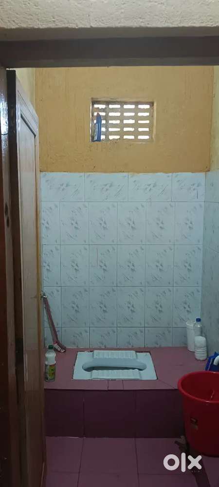 Need one roommate urgently (only for girls)