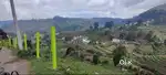 Farm land 75 cent