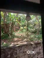Attingal areaൽ road side ൽ 2/3 സെൻ്റെ് സ്ഥലം ആവശ്യമുണ്ട്
