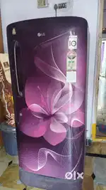 Single door LG refrigerator