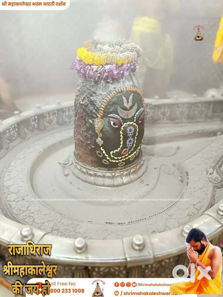 Jisko chaiye wo he contact kare