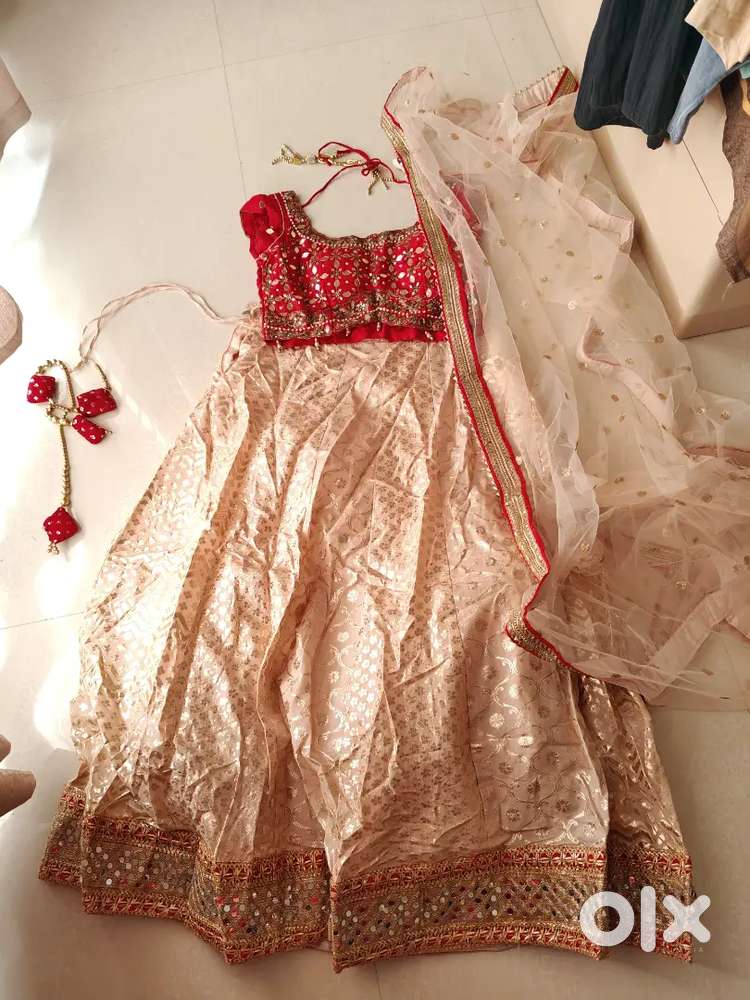 Beautiful banarasi lehnga with  2 velvet blouse and attached dupatta