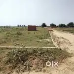 # 50,70,101, GAZ PLOT NEAR CHANDI MANDIR PILKHUWA
