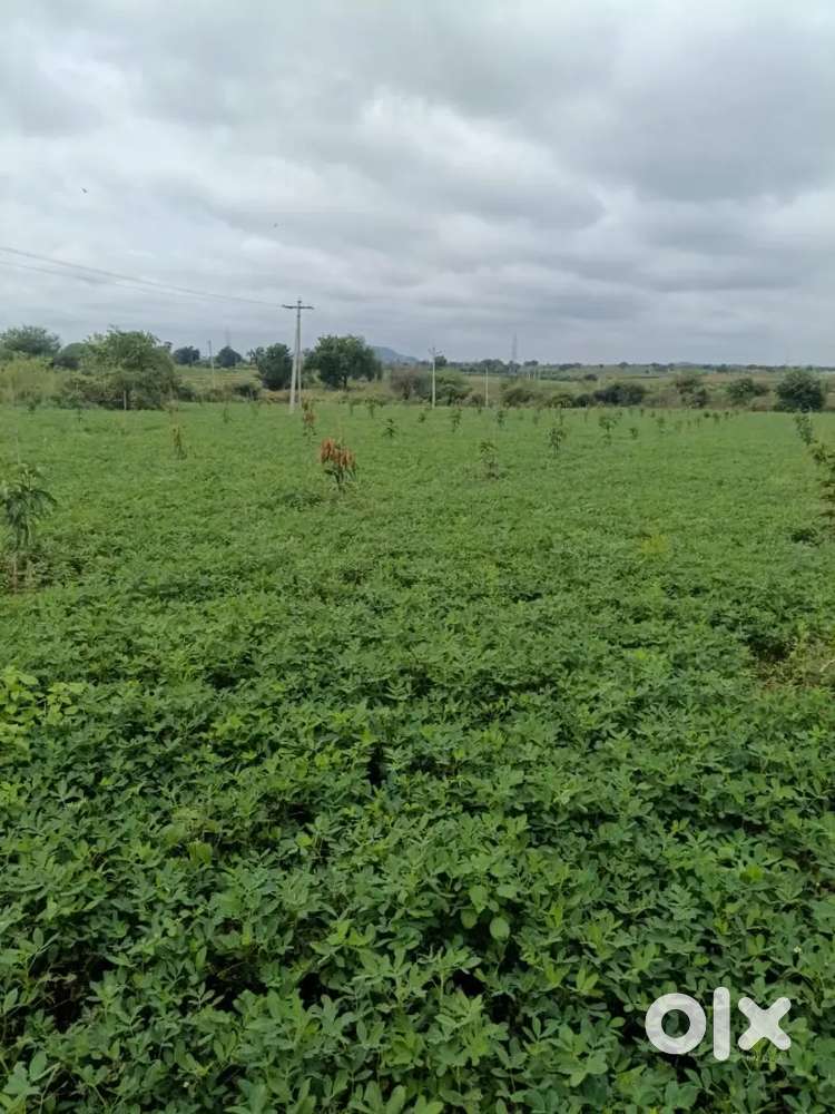 2.5 acres of land for sale