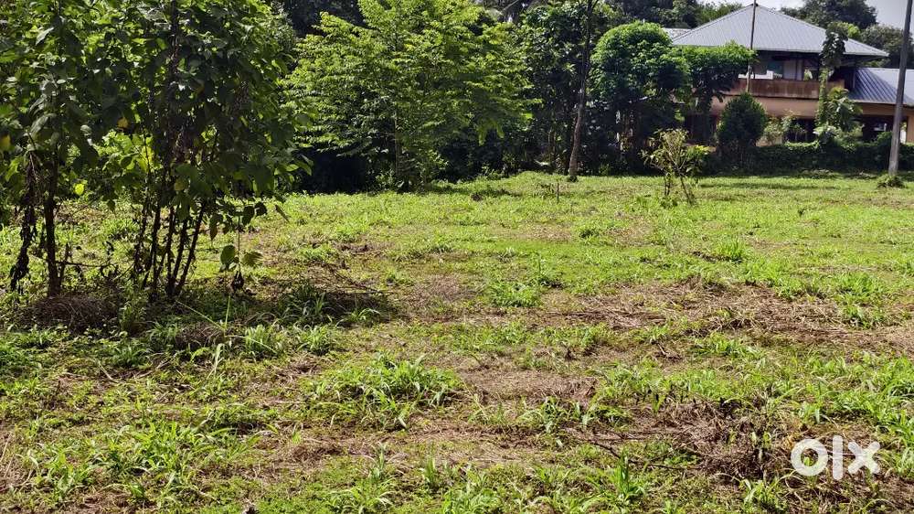 Plote for sale plane area