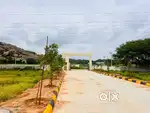 Just 16 lakhs 150 sq yards DTCP with RERA approved plot for sale