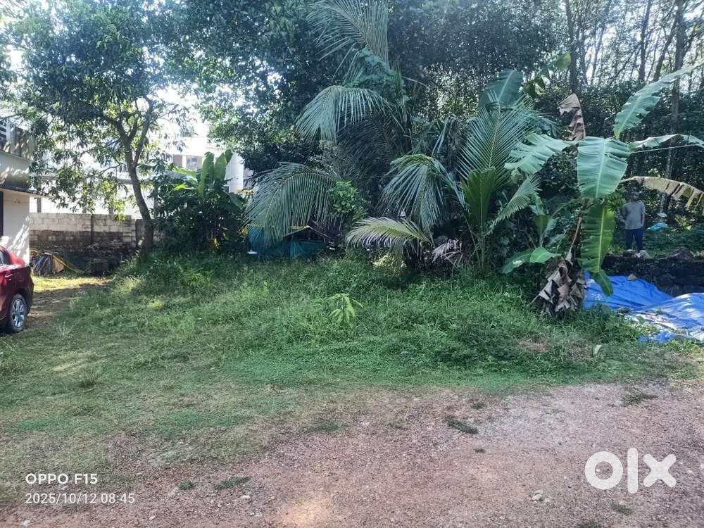 5 cent Villa plot for sale near infopark.