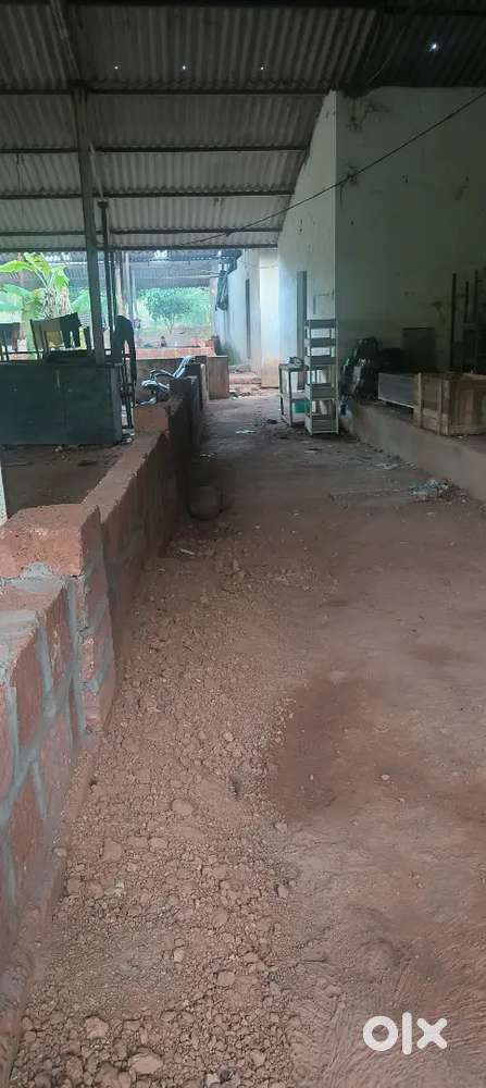 3km from mandrem beech