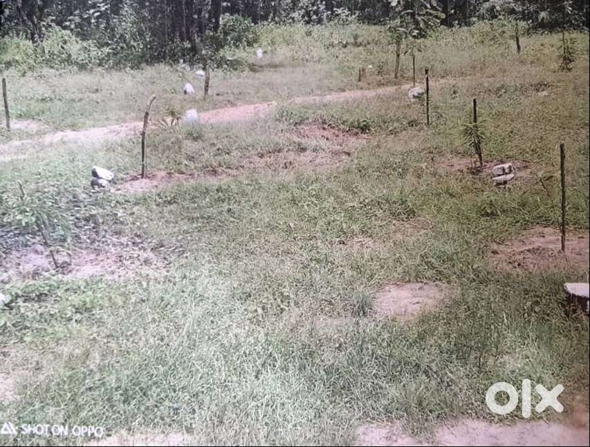 सिलवानी उदयपुरा रोड से मात्र 5 कि.मी. चिन्होटिया गॉव में