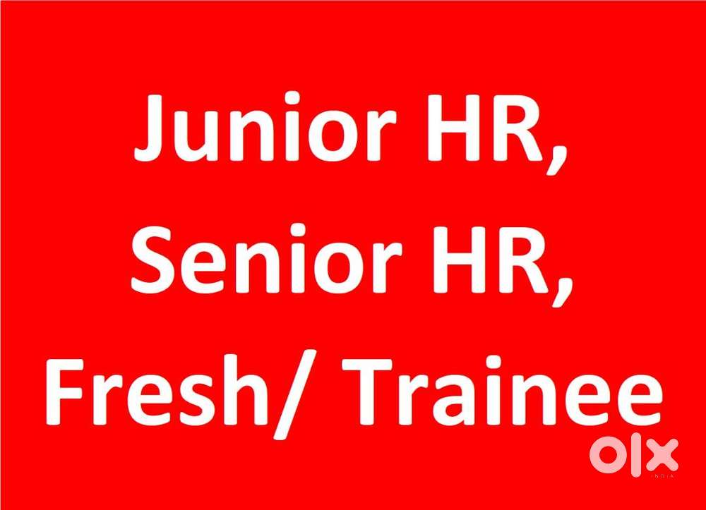 Driver/Desptach/Logistics/Warhouse/Telecaller/Graphics/Ui UX Designer