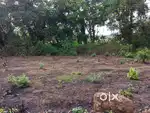 Settlement plot for Sale