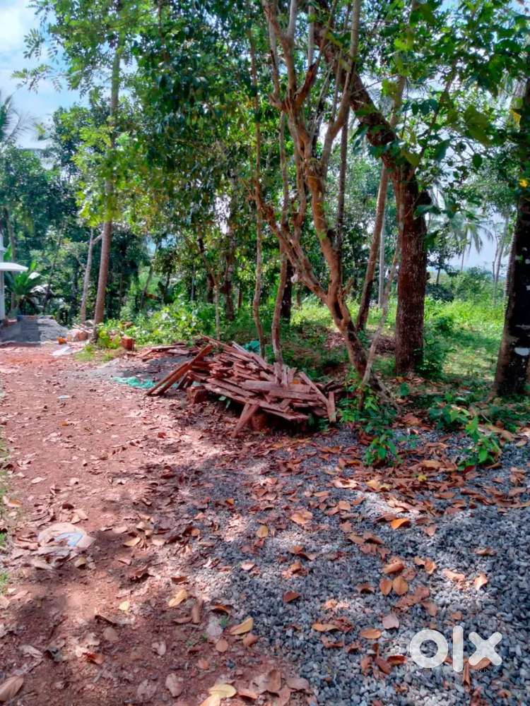 House plot 7.42cent atperingalom for sale
