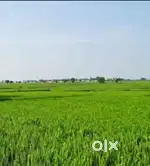 Land for sale at Gorakhpur