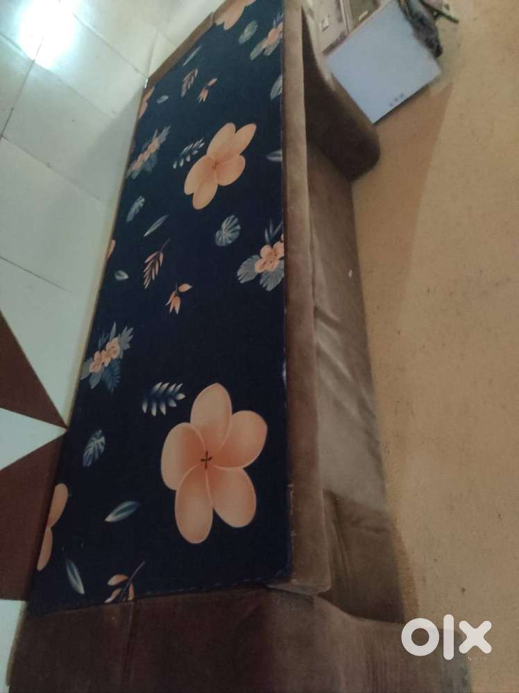 Sofa Cum Bed with Pillow