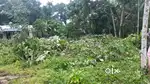 11 cent Housing plot for sale