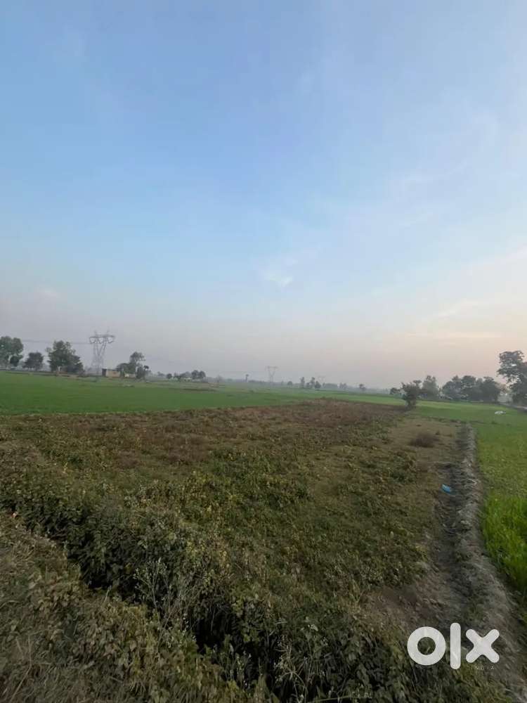 48 marla plot on basrup road