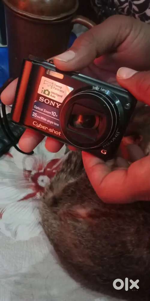 Sony camera