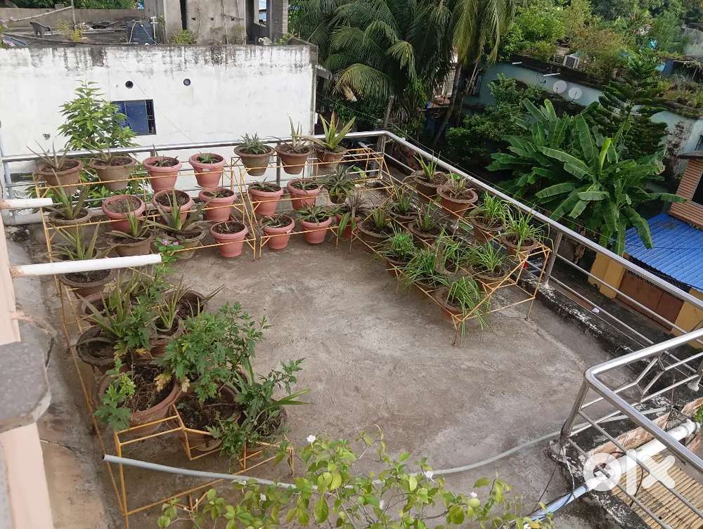 Roof top garden