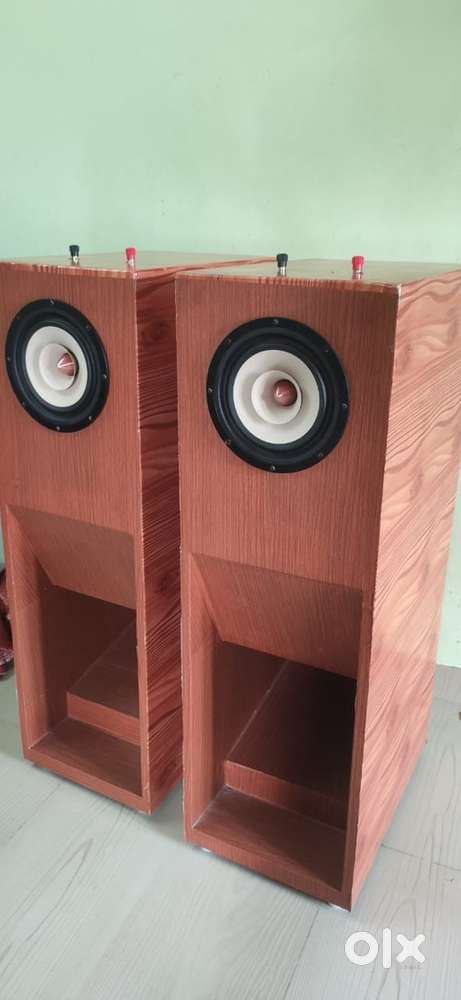 Tang band W8-1808 Neodymium full range speaker
