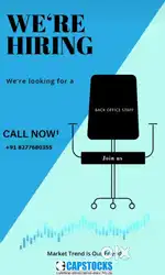 ladie staff (office assisting and data entry)