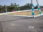 pre launch pots @ low budget