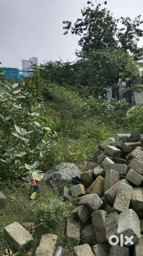 Sridevi nagar, near Bank colony, rto office, nellore.