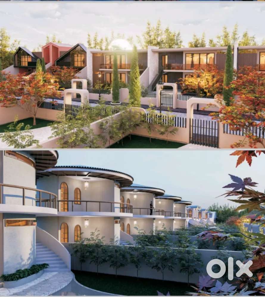 Invest Today, Thrive Tomorrow , With (50,000+) monthly Return