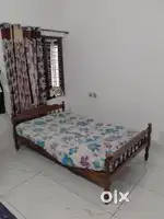 Rooms for bachelor's