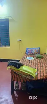Need a girl roommate (student)