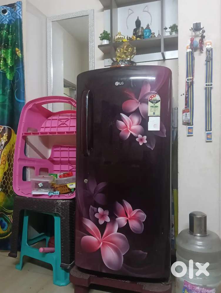 Lg single door refrigerator