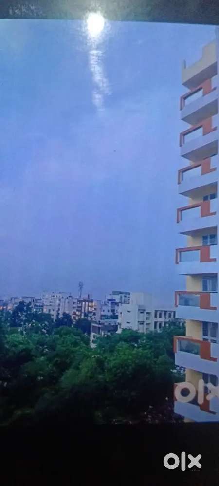 Urgent need female roommate for separate hall