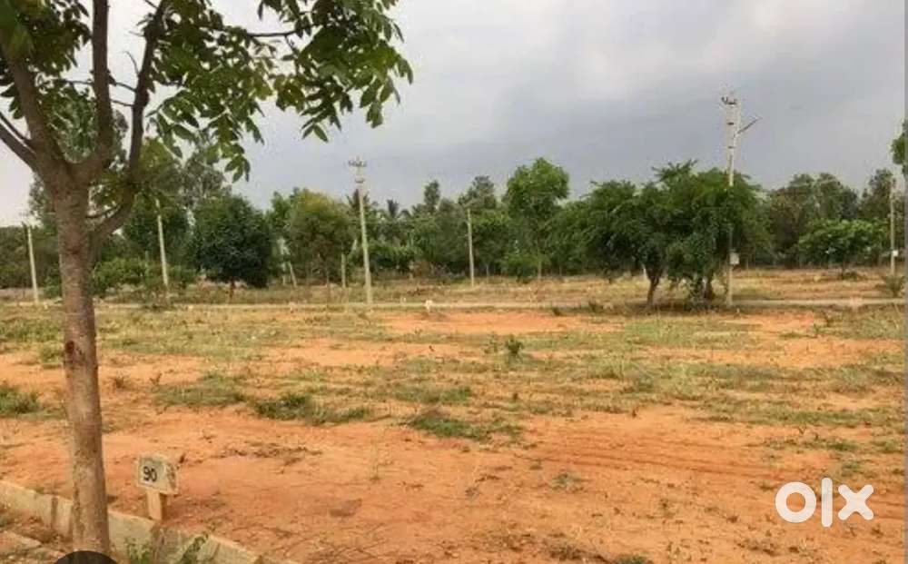 Plot in pr peta 190 sq yards