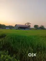 Farm House- Approx 6 Bigha from Tezpur 17 km