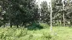 10 Lakhs/cent, 15Cents, Behind  St.Joseph School, Kuriachira, Thrissur