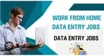 Best offer for every one home based online data entry work