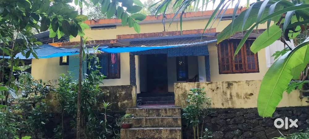 15 cent plot and house for sale